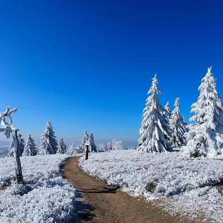 With Terrace In * Winterberg