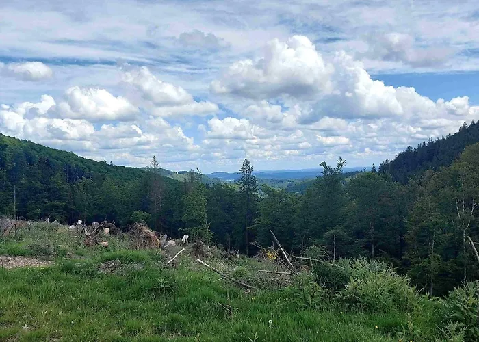 Terrace Retreat In Apartment Winterberg