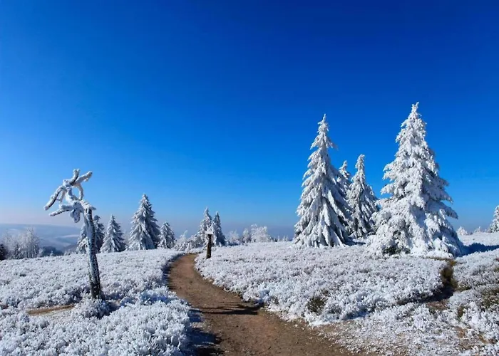 Terrace Retreat In * Winterberg