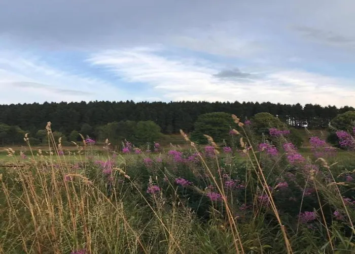 Terrace Retreat In Apartamento