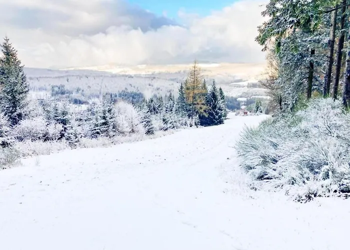 Apartamento Terrace Retreat In Winterberg